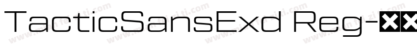 TacticSansExd Reg字体转换